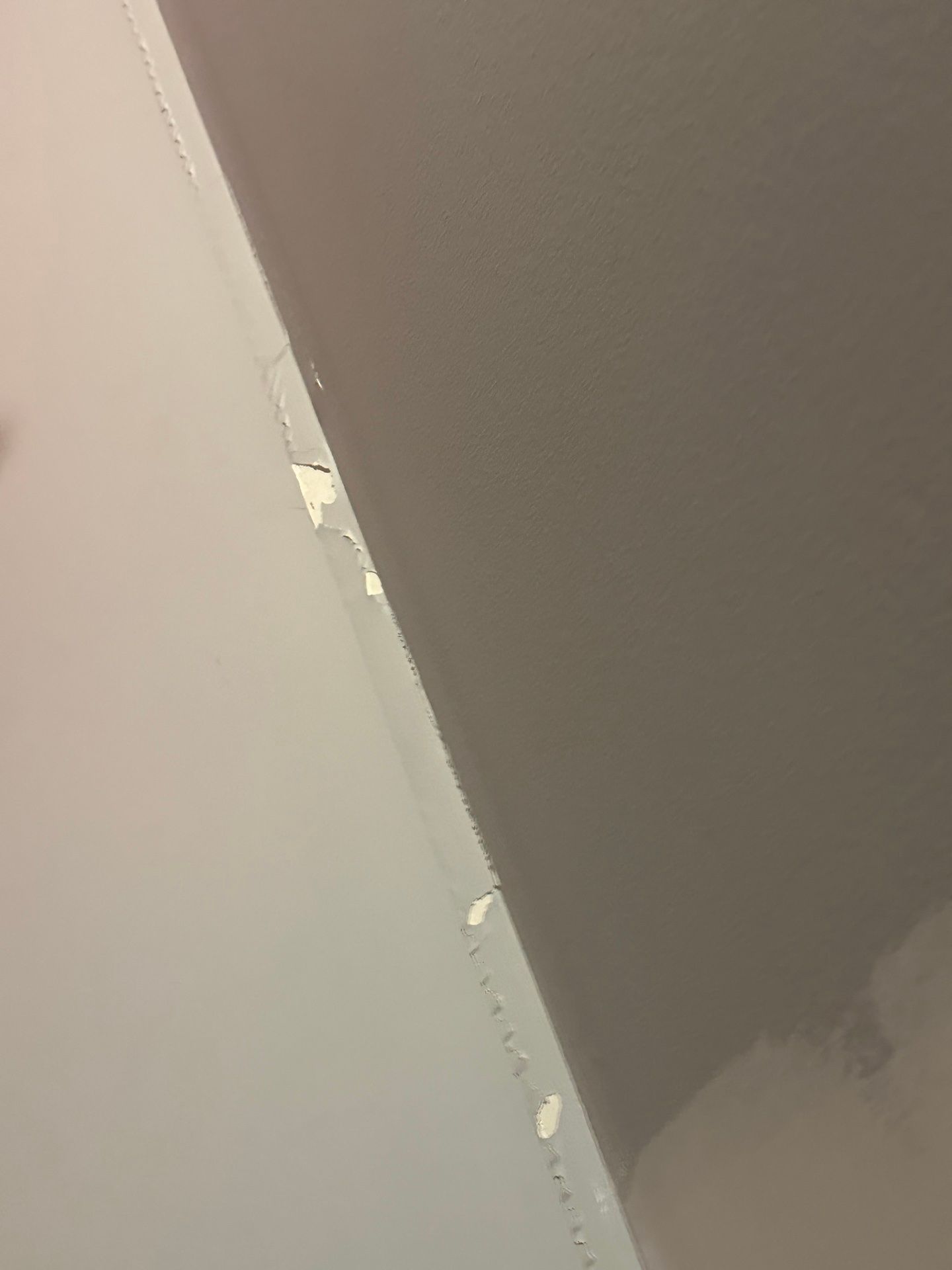 Drywall Repair — ceiling-to-wall corner with fresh joint compound and freshly painted surfaces in Hillsborough, NC