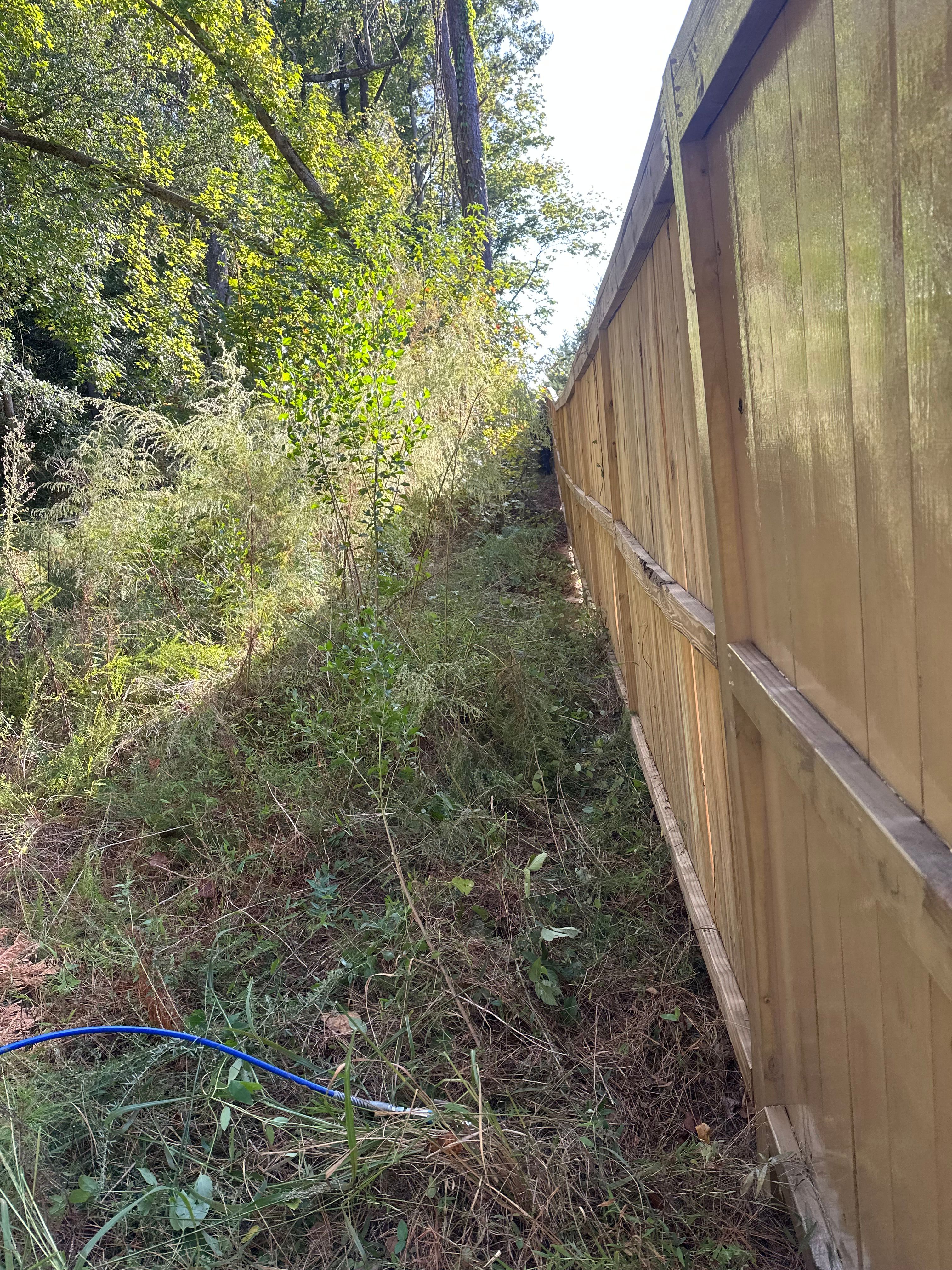 Fence Staining — wood deck structure freshly stained in natural tan with lush green backdrop in Chapel Hill, NC